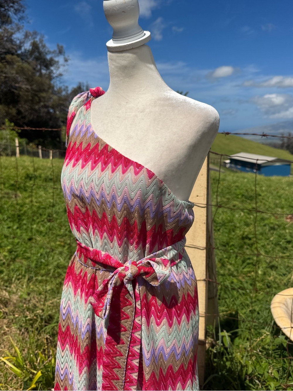NWT Show me your Mumu Nice Zig Zag Maxi Dress pink Purple Large - Picture 8 of 10